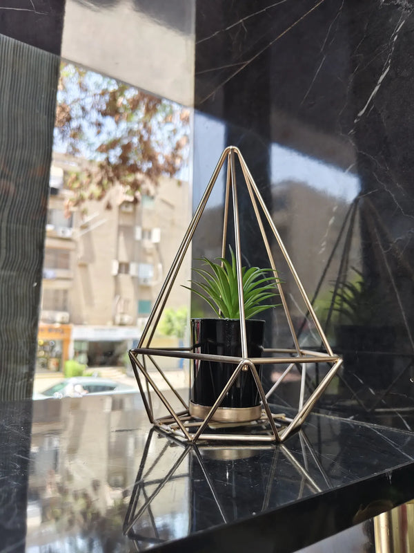 ديكور معدن زرع مخروطي